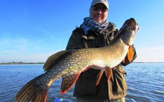 Рыбалка на Алтае: лучшие места для летней и зимней рыбалки