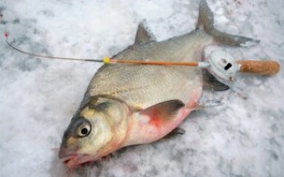 Зимняя прикормка на леща — читайте на Сatcher.fish
