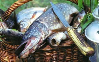 Как засолить рыбу для сушки или вяления? Засолка рыбы: рецепт, продолжительность || Посол рыбы для вяления