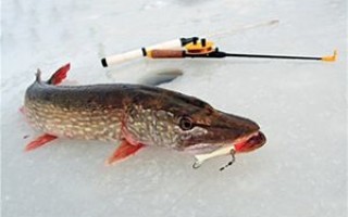 Что Нужно Для Зимней Рыбалки