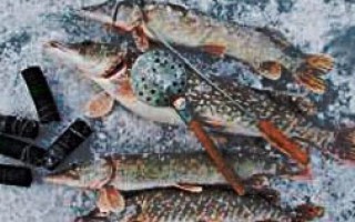 Рыбалка видео: Поставушки для зимней рыбалки