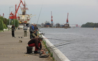 Рыбалка в Калининградской области сегодня